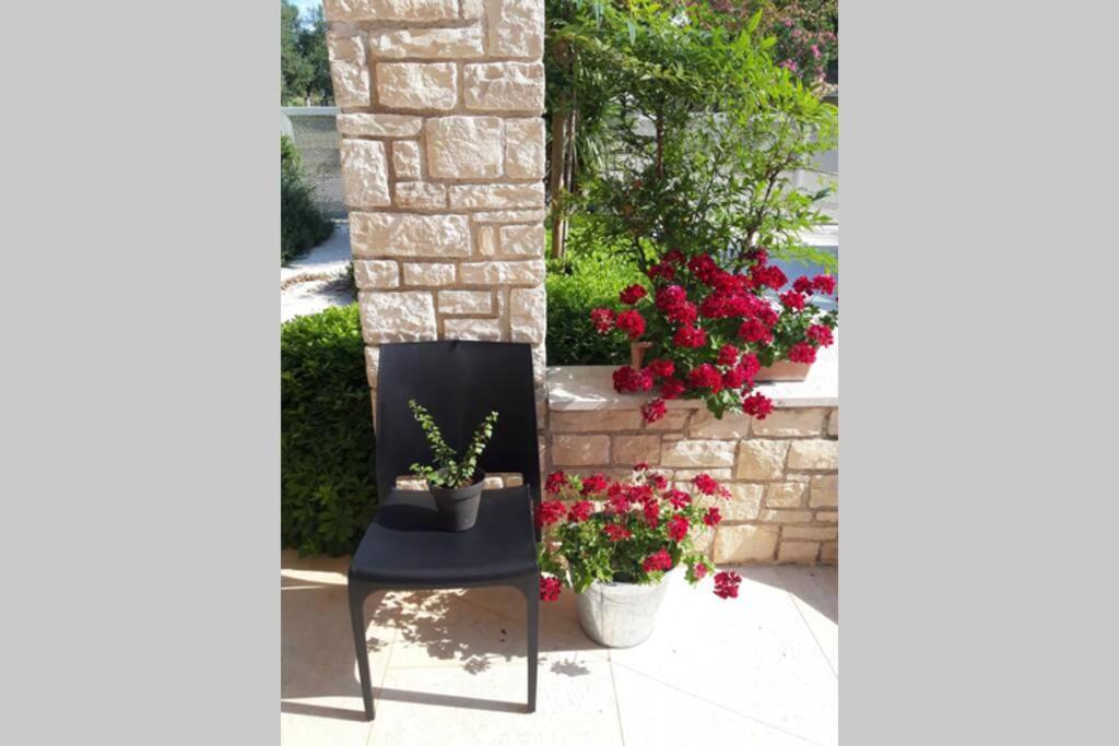 For Families Only - Casa Nora Novigrad Villa Novigrad Istria Dış mekan fotoğraf